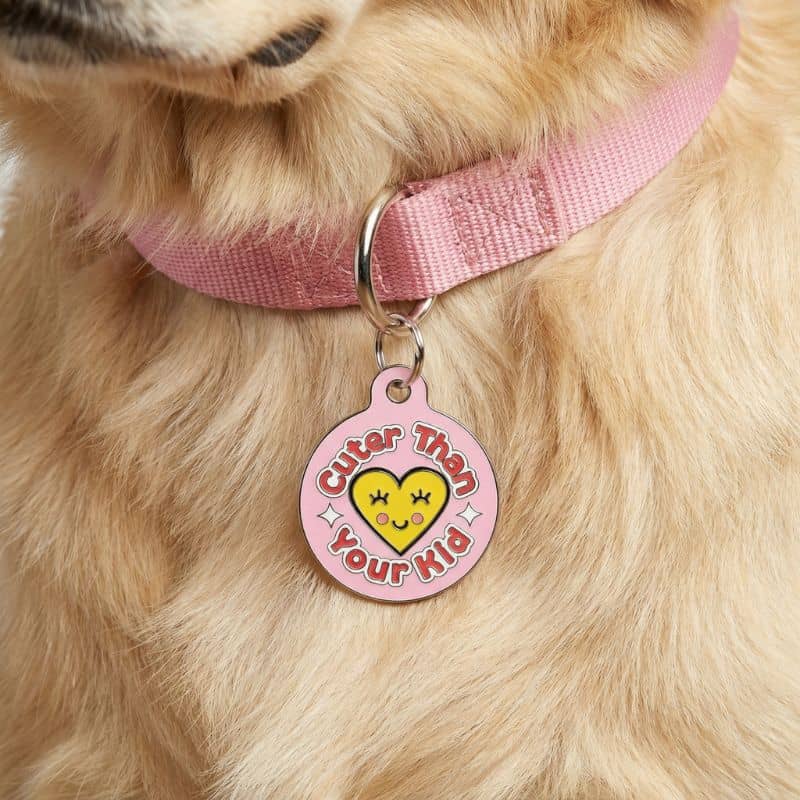 MÉDAILLE POUR CHIEN - CUTER THAN YOU KID (2 COULEURS DISPO) - Image 3