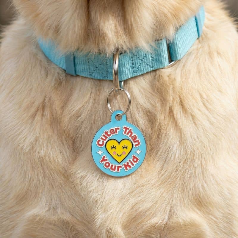 MÉDAILLE POUR CHIEN - CUTER THAN YOU KID (2 COULEURS DISPO) - Image 5