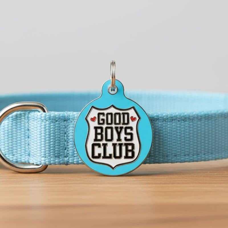 MÉDAILLE POUR CHIEN - GOOD BOYS CLUB - Image 2