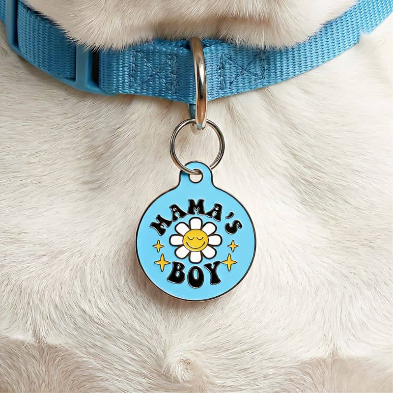MÉDAILLE POUR CHIEN - MAMA'S BOY / MAMA'S GIRL - Image 2