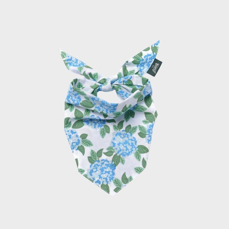 BANDANA POUR CHIEN - FLEURS BLEUES đȘ» "SCONSET"