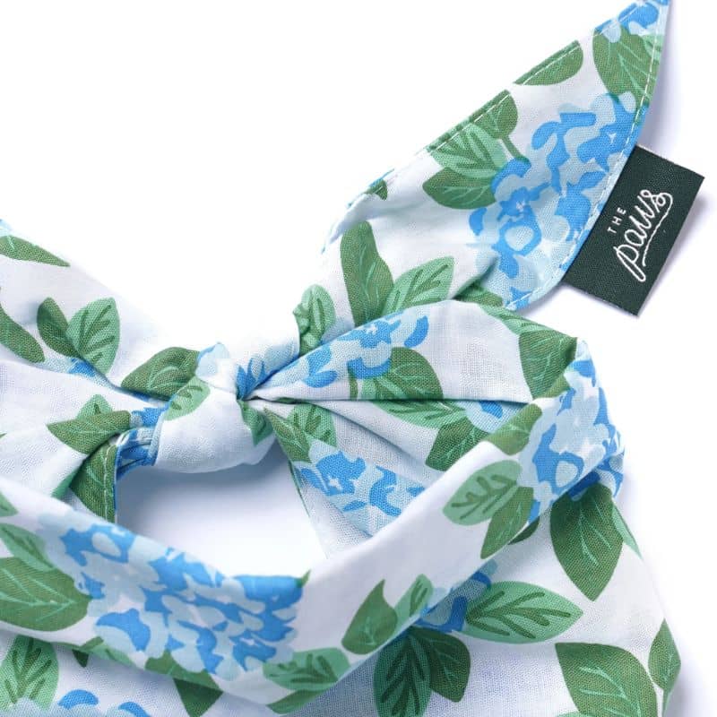 BANDANA POUR CHIEN - FLEURS BLEUES đȘ» "SCONSET" - Image 3