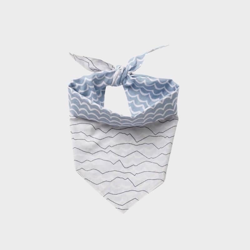 BANDANA RÉVERSIBLE POUR CHIEN - SOUVENIR D'ANNECY * LAC & MONTAGNE - Image 3
