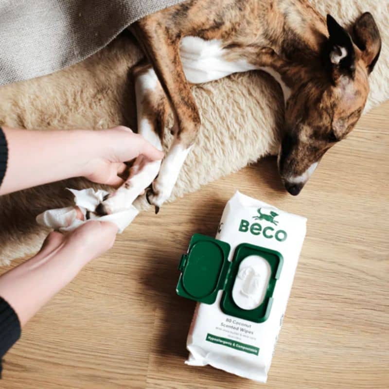 LINGETTES NETTOYANTES EN BAMBOU POUR CHIEN - PARFUM COCO (2 FORMATS) - Image 3