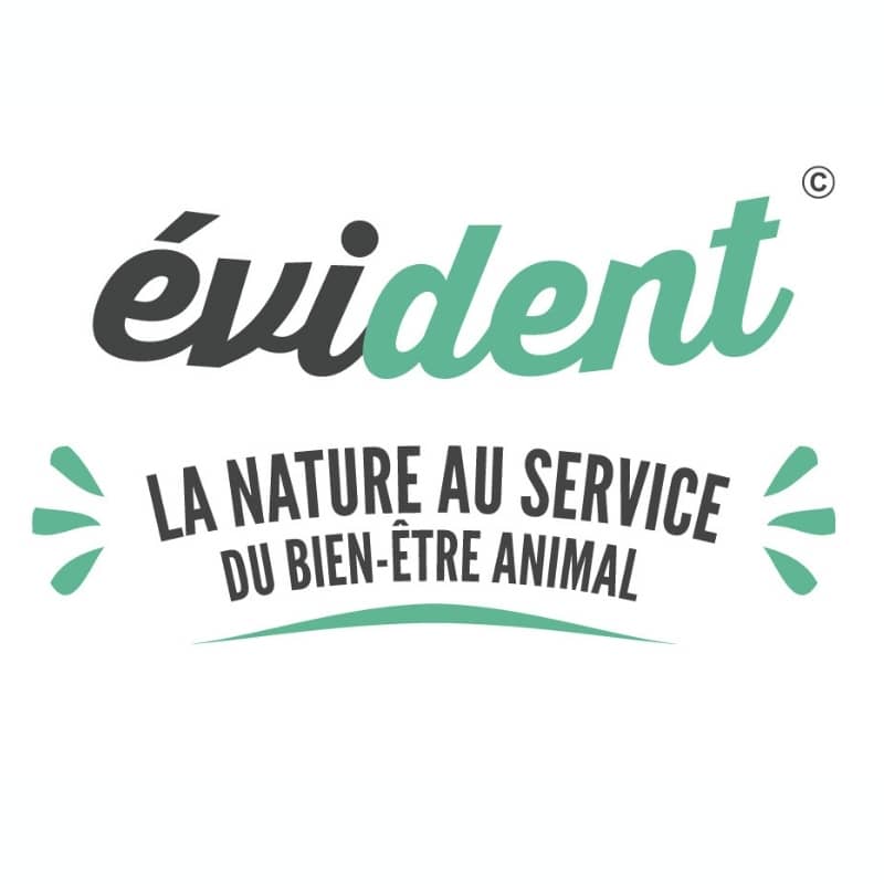 BOIS DE DAIM À MÂCHER NATUREL POUR CHIEN - Image 4