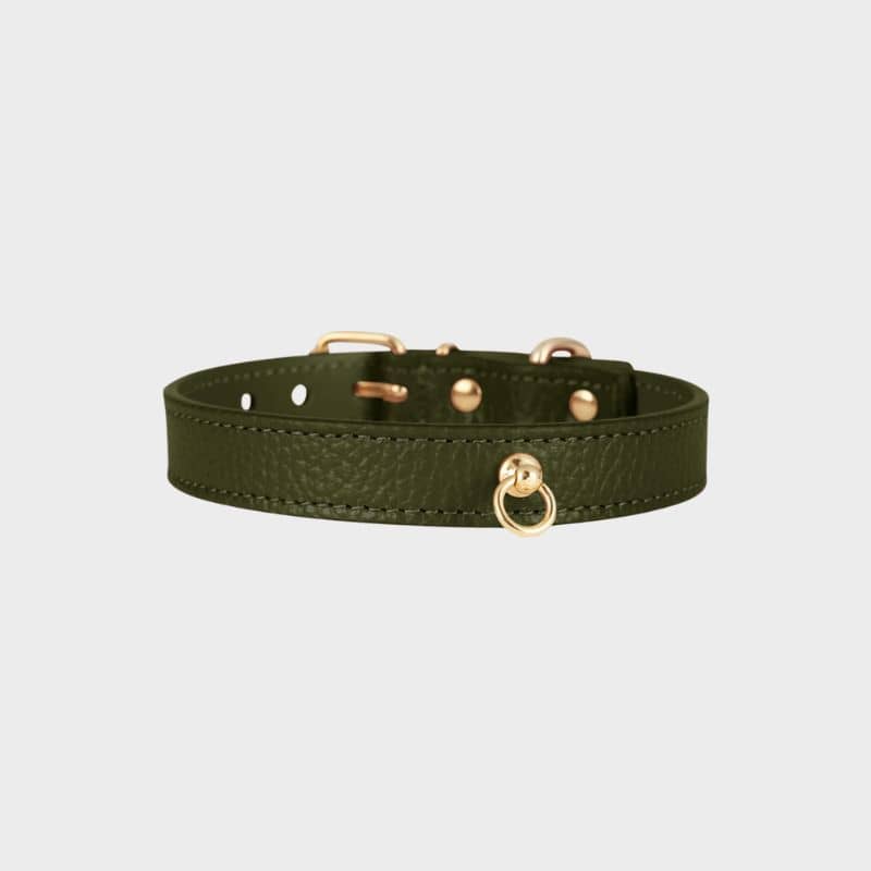 COLLIER EN CUIR POUR CHIEN - VERT OLIVE "JUNO"