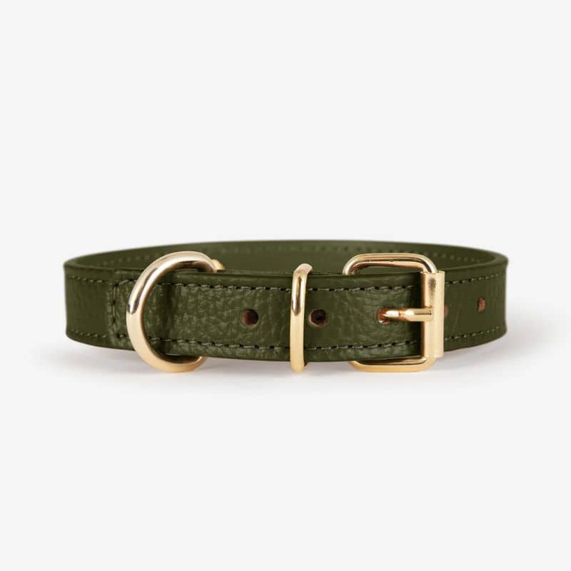COLLIER EN CUIR POUR CHIEN - VERT OLIVE "JUNO" - Image 2