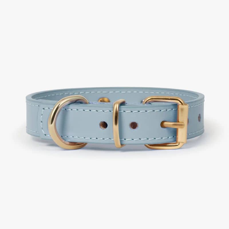 COLLIER EN CUIR POUR CHIEN - BLEU CIEL "NARA" AVEC CLOUS DORÉS ÉTOILE - Image 3