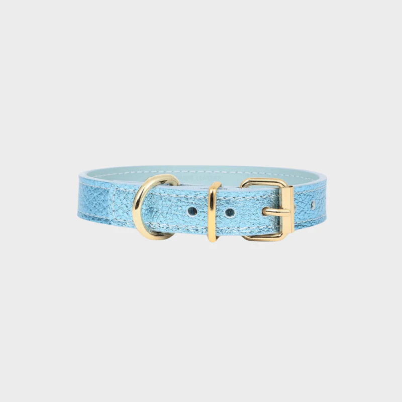 COLLIER EN CUIR POUR CHIEN - MÉTAL BLEU CIEL
