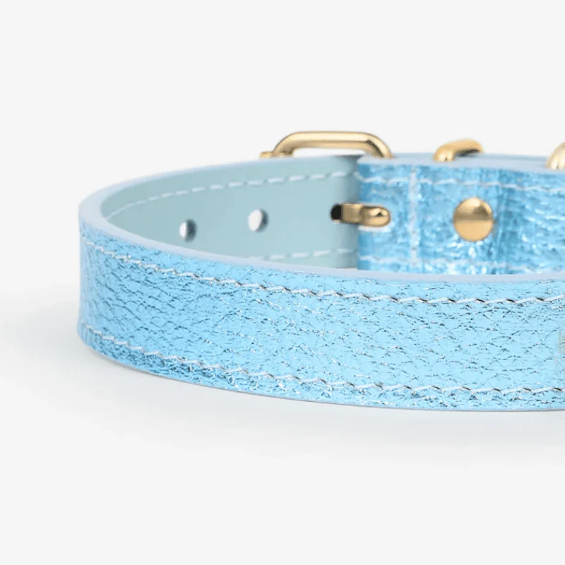 COLLIER EN CUIR POUR CHIEN - MÉTAL BLEU CIEL - Image 2