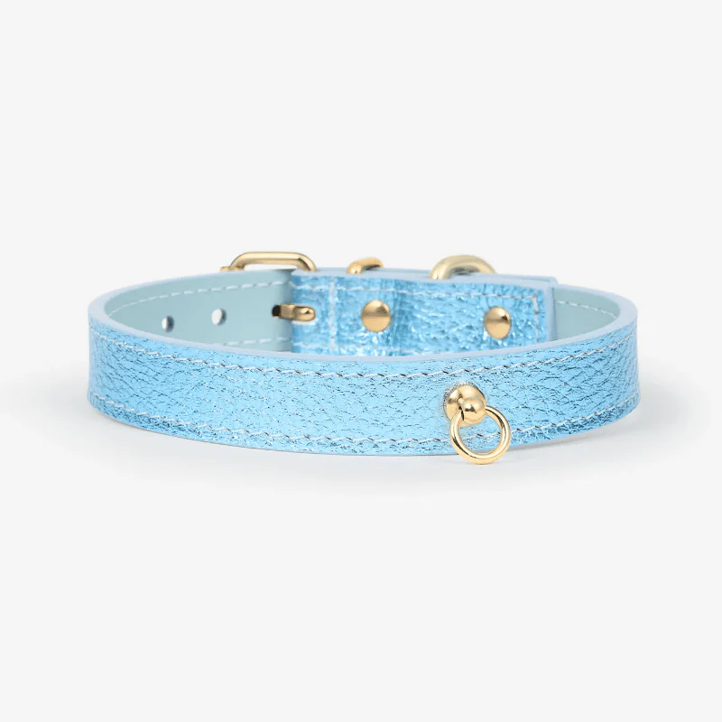 COLLIER EN CUIR POUR CHIEN - MÉTAL BLEU CIEL - Image 3