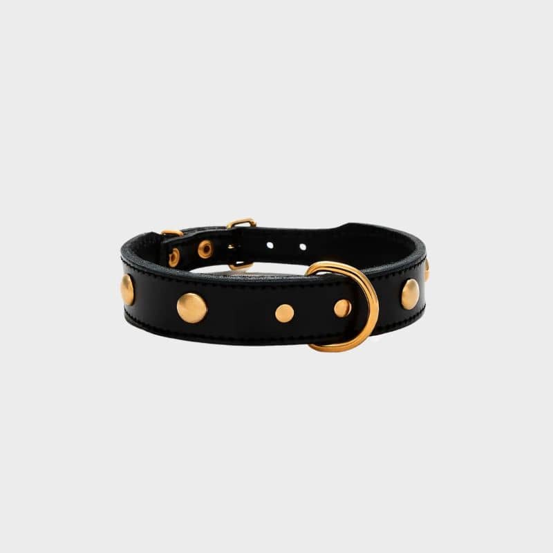 COLLIER EN CUIR POUR CHIEN - NOIR AVEC CLOUS RONDS DORÉS