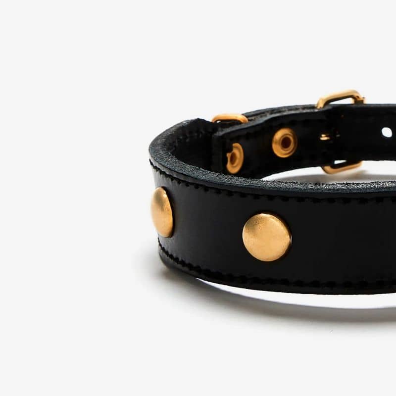 COLLIER EN CUIR POUR CHIEN - NOIR AVEC CLOUS RONDS DORÉS - Image 3