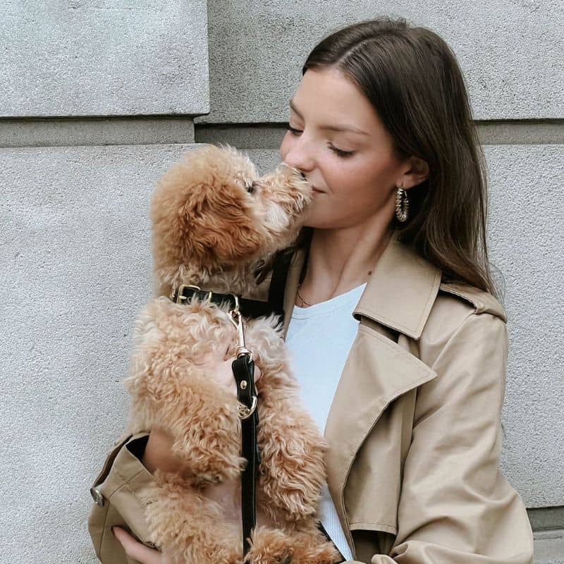 COLLIER EN CUIR POUR CHIEN - NOIR "NARA" - Image 3