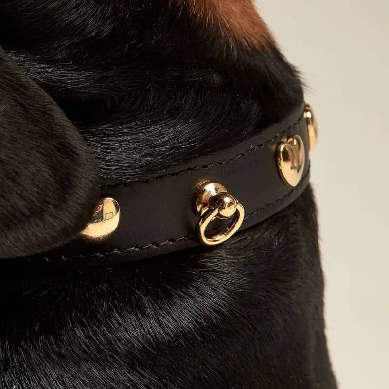 COLLIER EN CUIR POUR CHIEN - NOIR "NARA" AVEC CLOUS DORÉS COEUR - Image 3