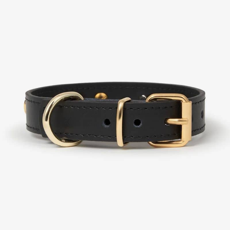 COLLIER EN CUIR POUR CHIEN - NOIR "NARA" AVEC CLOUS DORÉS COEUR - Image 4