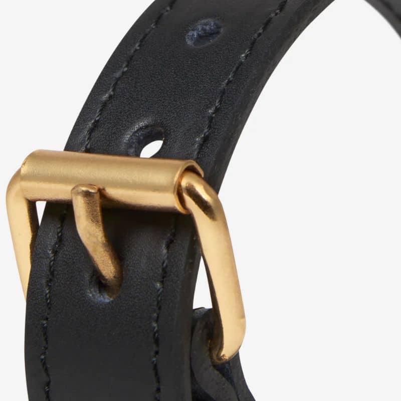 COLLIER EN CUIR POUR CHIEN - NOIR "NARA" AVEC CLOUS DORÉS COEUR - Image 5