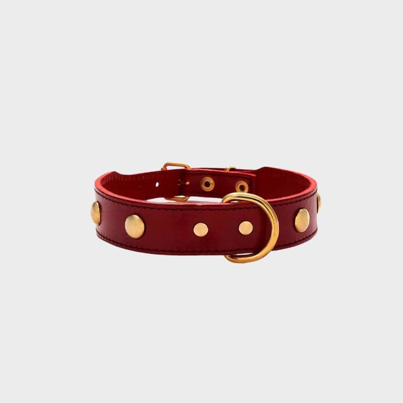 COLLIER EN CUIR POUR CHIEN - ROUGE AVEC CLOUS RONDS DORÉS