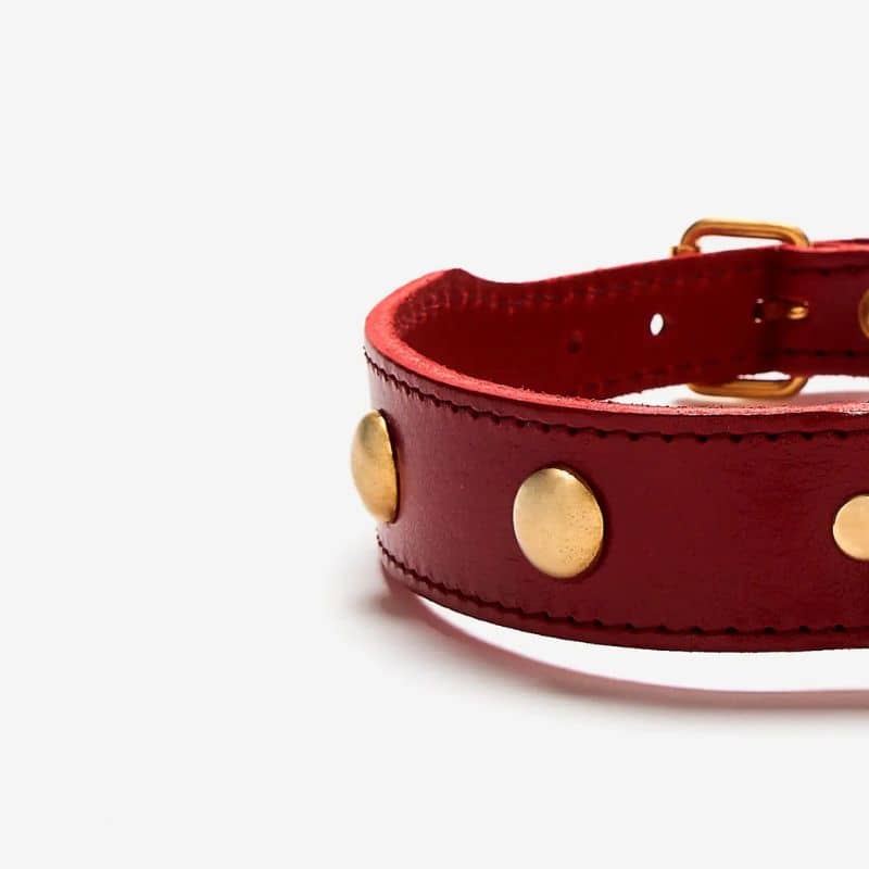 COLLIER EN CUIR POUR CHIEN - ROUGE AVEC CLOUS RONDS DORÉS - Image 2