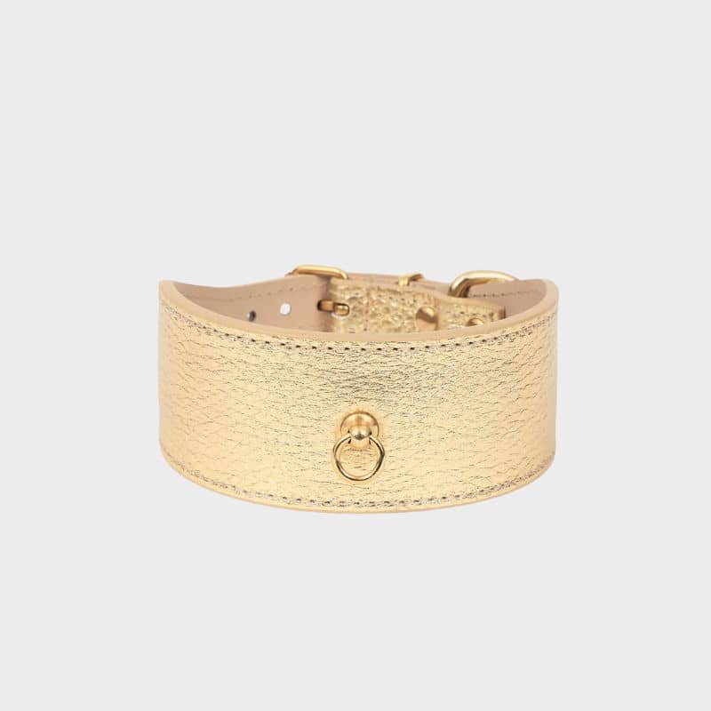 COLLIER EN CUIR POUR LÉVRIER - DORÉ
