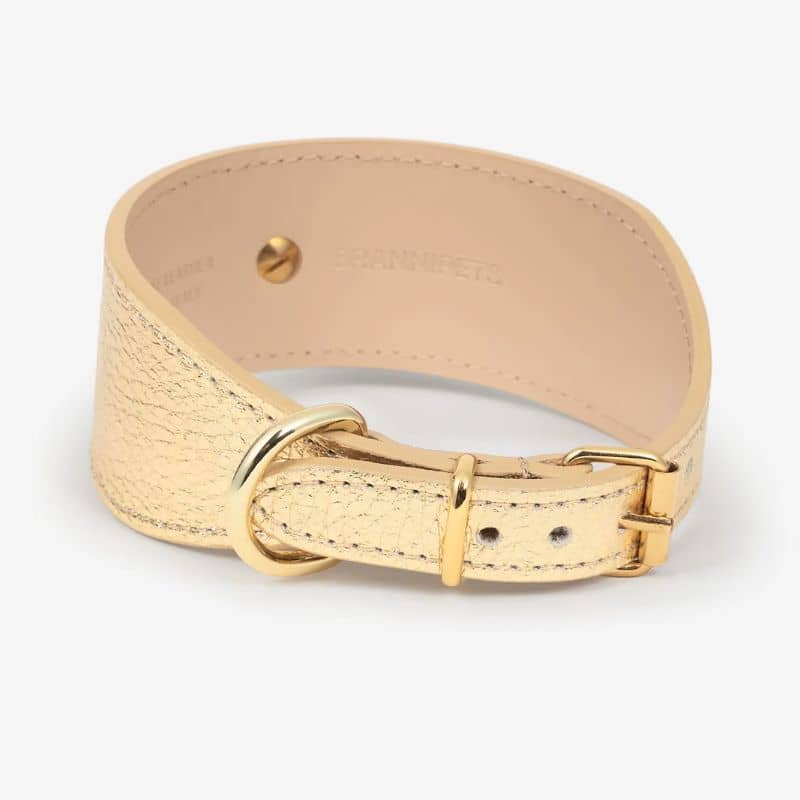 COLLIER EN CUIR POUR LÉVRIER - DORÉ - Image 3