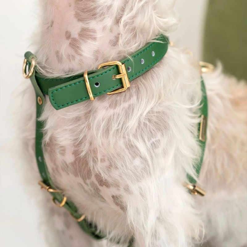 HARNAIS EN CUIR POUR CHIEN - VERT - Image 4