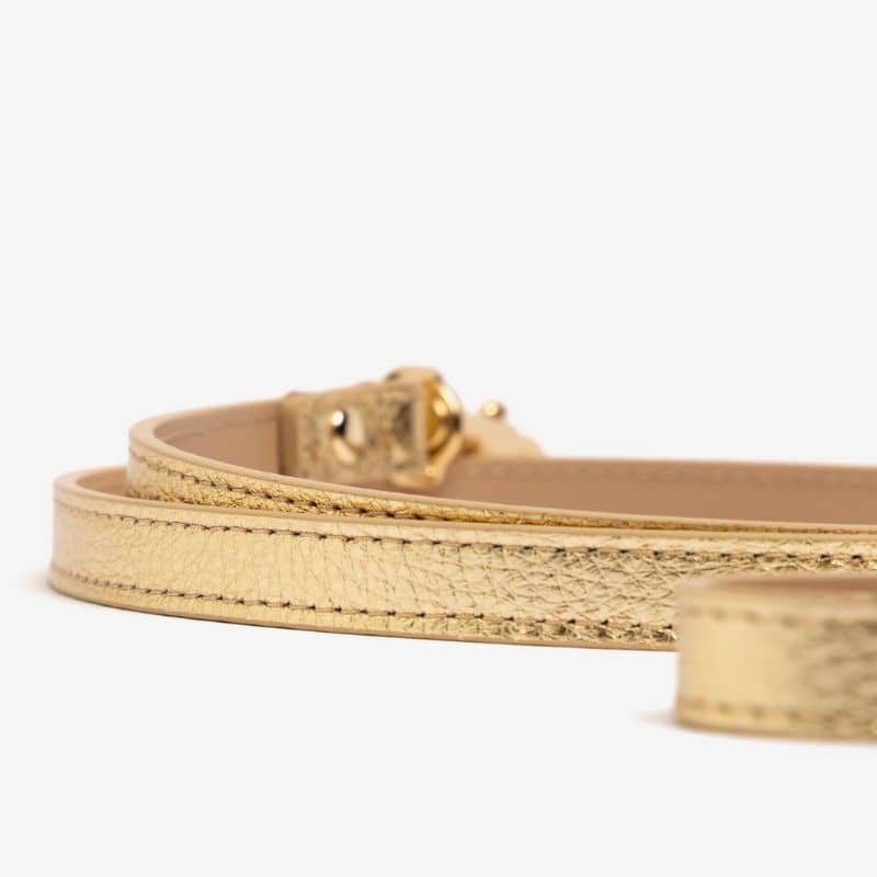 LAISSE EN CUIR POUR CHIEN - DORÉ - Image 2