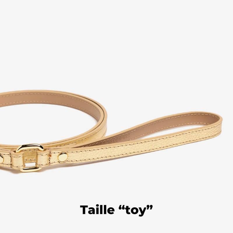 LAISSE EN CUIR POUR CHIEN - DORÉ - Image 4