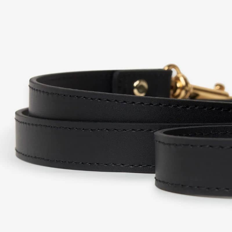 LAISSE EN CUIR POUR CHIEN - NOIR - Image 3