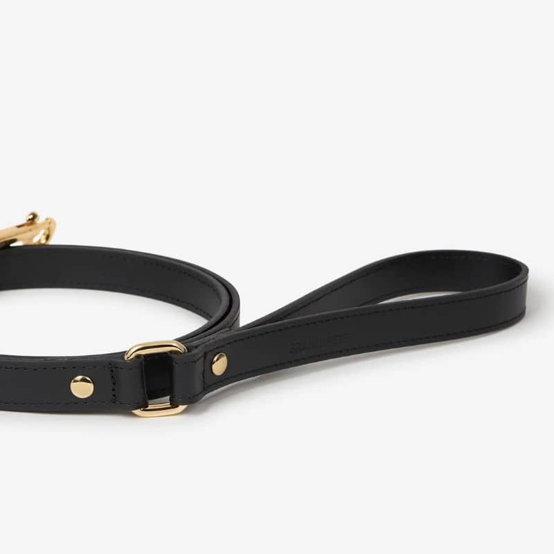 LAISSE EN CUIR POUR CHIEN - NOIR - Image 4