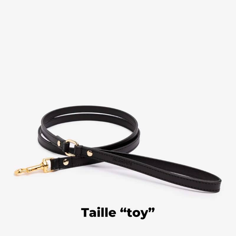 LAISSE EN CUIR POUR CHIEN - NOIR - Image 5