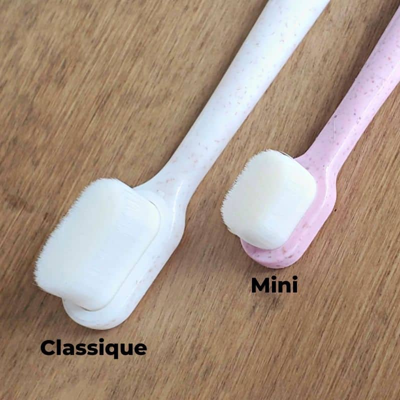 BROSSE À DENT BIODÉGRADABLE POUR CHIEN (2 TAILLES DISPO) - Image 5