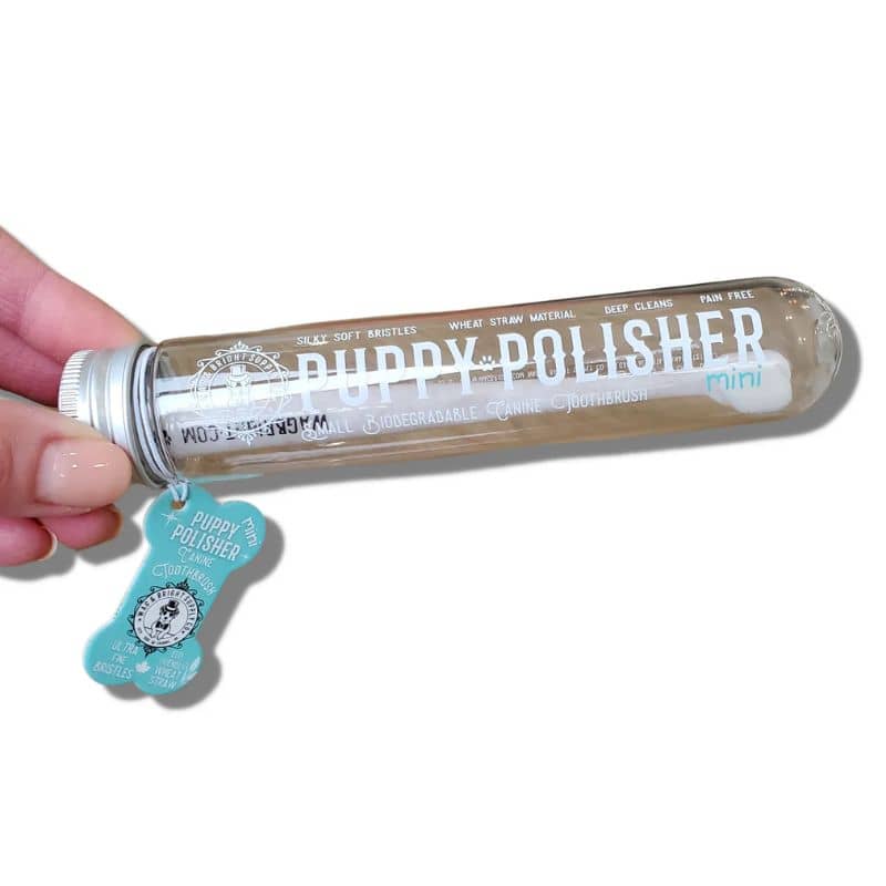 BROSSE À DENT BIODÉGRADABLE POUR CHIEN (2 TAILLES DISPO) - Image 6