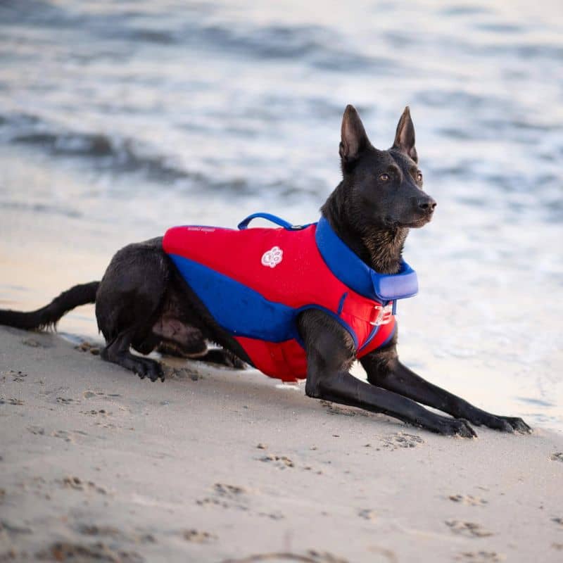 GILET DE SAUVETAGE POUR CHIEN - HIGH TIDE - Image 2
