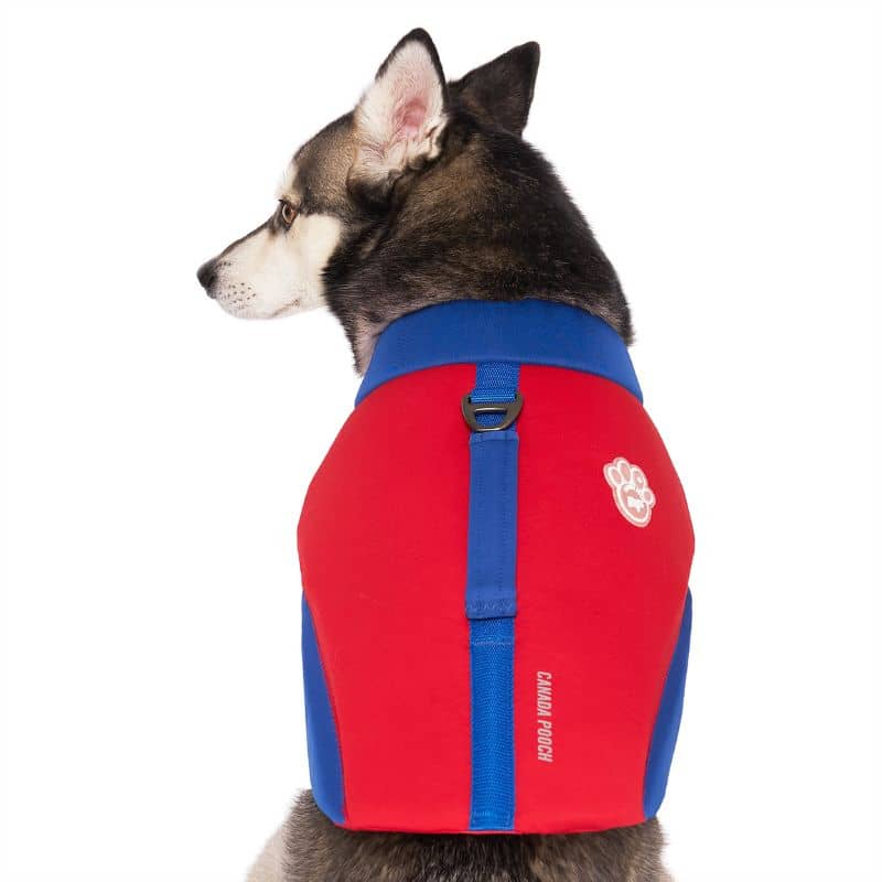 GILET DE SAUVETAGE POUR CHIEN - HIGH TIDE - Image 3