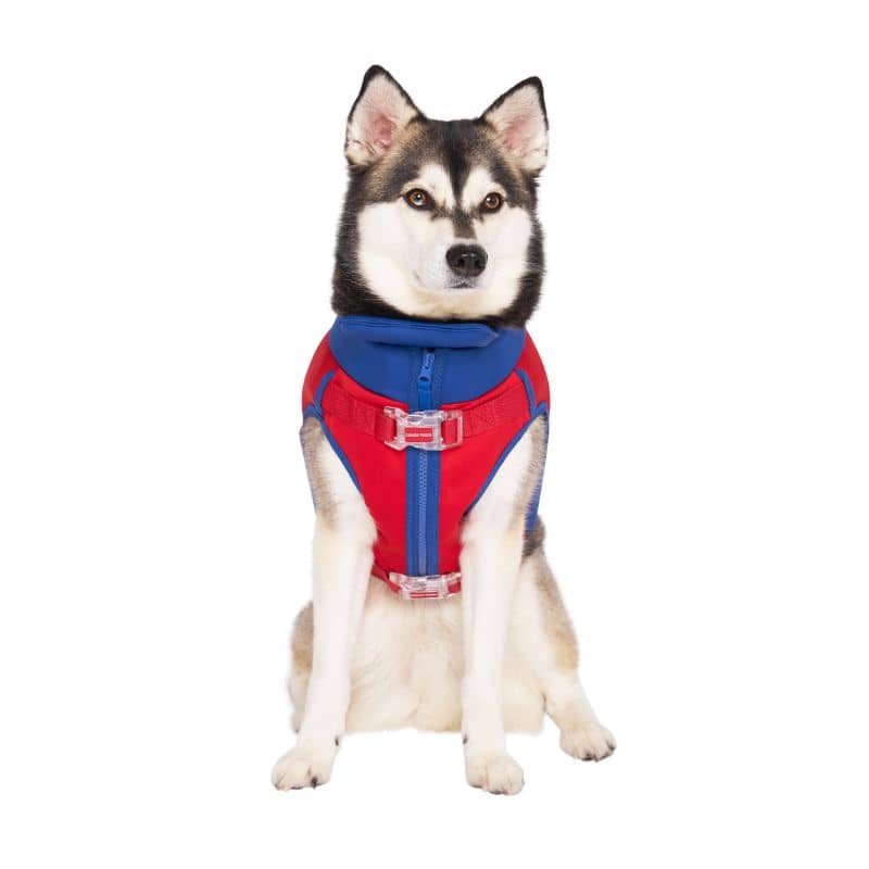GILET DE SAUVETAGE POUR CHIEN - HIGH TIDE - Image 5