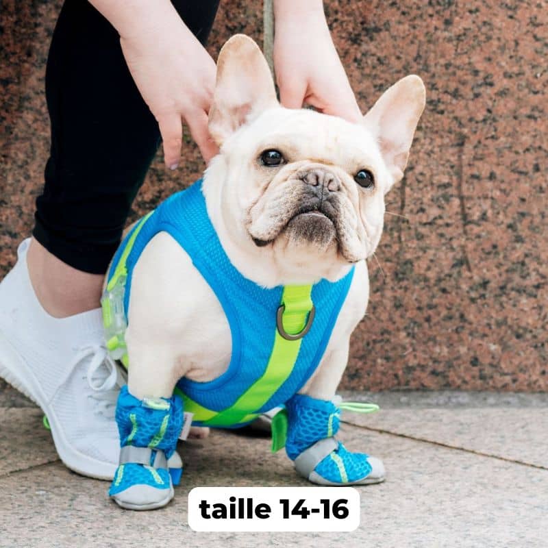 HARNAIS RAFRAÎCHISSANT POUR CHIEN - CHILL SEEKER BLEU - Image 2
