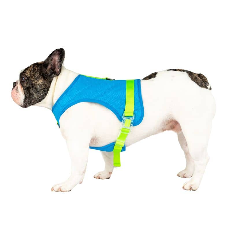 HARNAIS RAFRAÎCHISSANT POUR CHIEN - CHILL SEEKER BLEU - Image 6