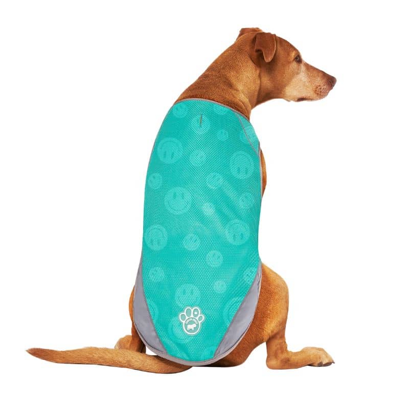VESTE RAFRAÎCHISSANTE POUR CHIEN - CHILL SEEKER BLEU TURQUOISE - Image 4
