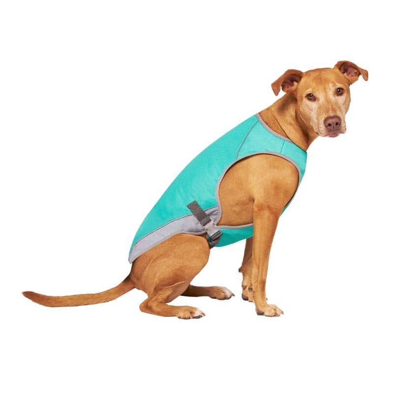 VESTE RAFRAÎCHISSANTE POUR CHIEN - CHILL SEEKER BLEU TURQUOISE - Image 6