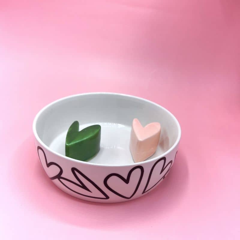 GAMELLE ANTI-GLOUTON EN CÉRAMIQUE POUR CHIEN - Ø 15CM 💚🩷 - Image 3