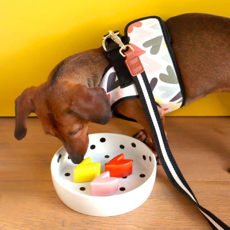 GAMELLE ANTI-GLOUTON EN CÉRAMIQUE POUR CHIEN - Ø 19CM 💛🧡🩷 - Image 3