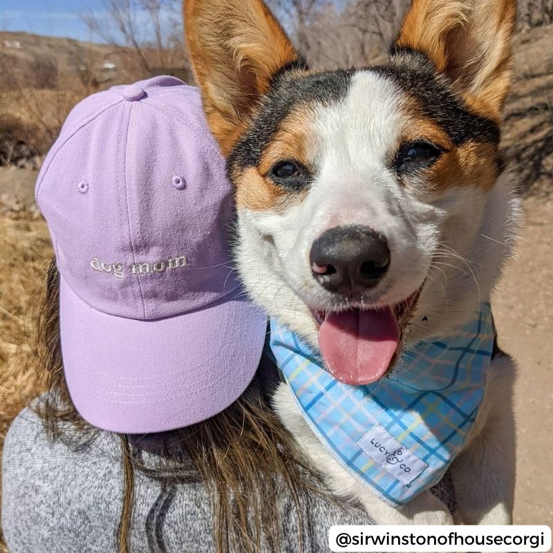 CASQUETTE - DOG MOM (MAUVE) - Image 3