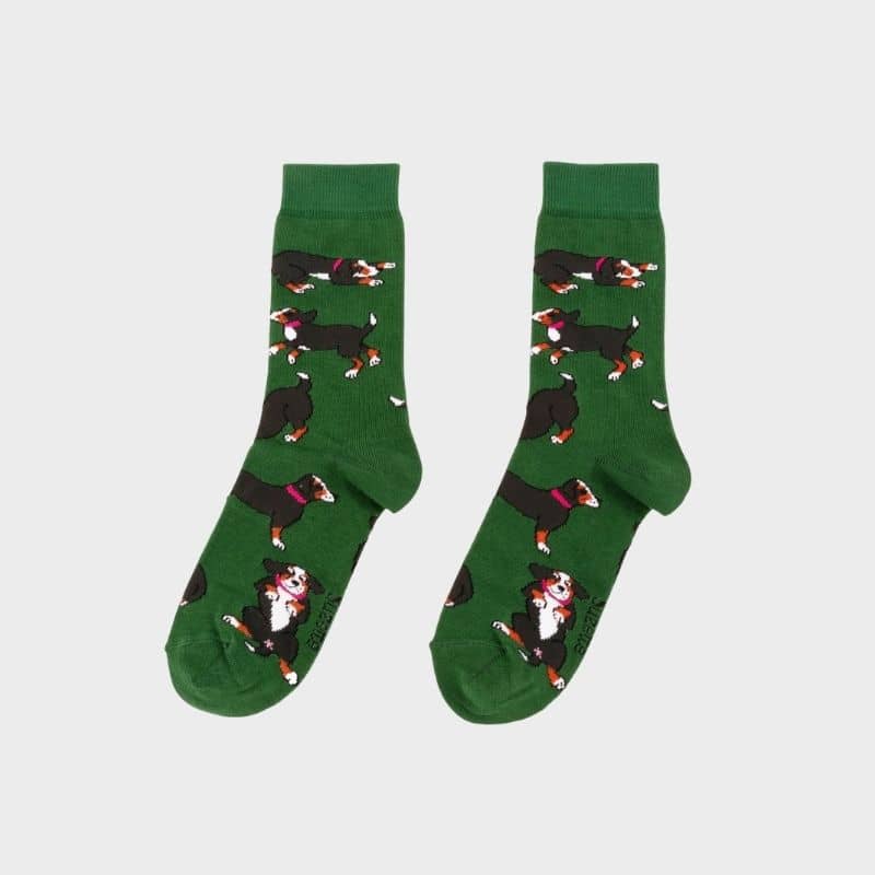CHAUSSETTES COTON - BOUVIER BERNOIS