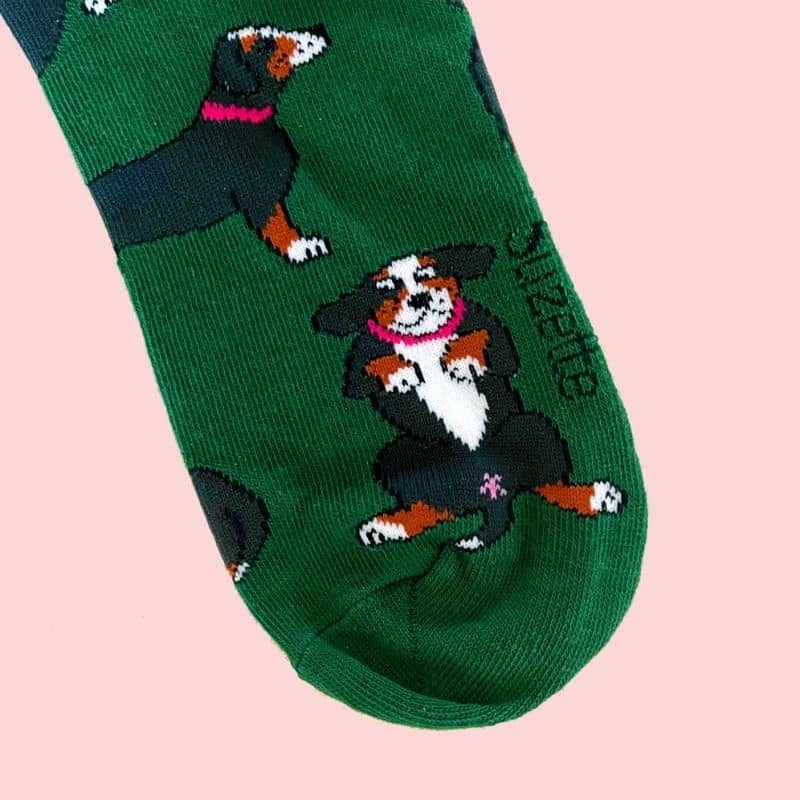 CHAUSSETTES COTON - BOUVIER BERNOIS - Image 3