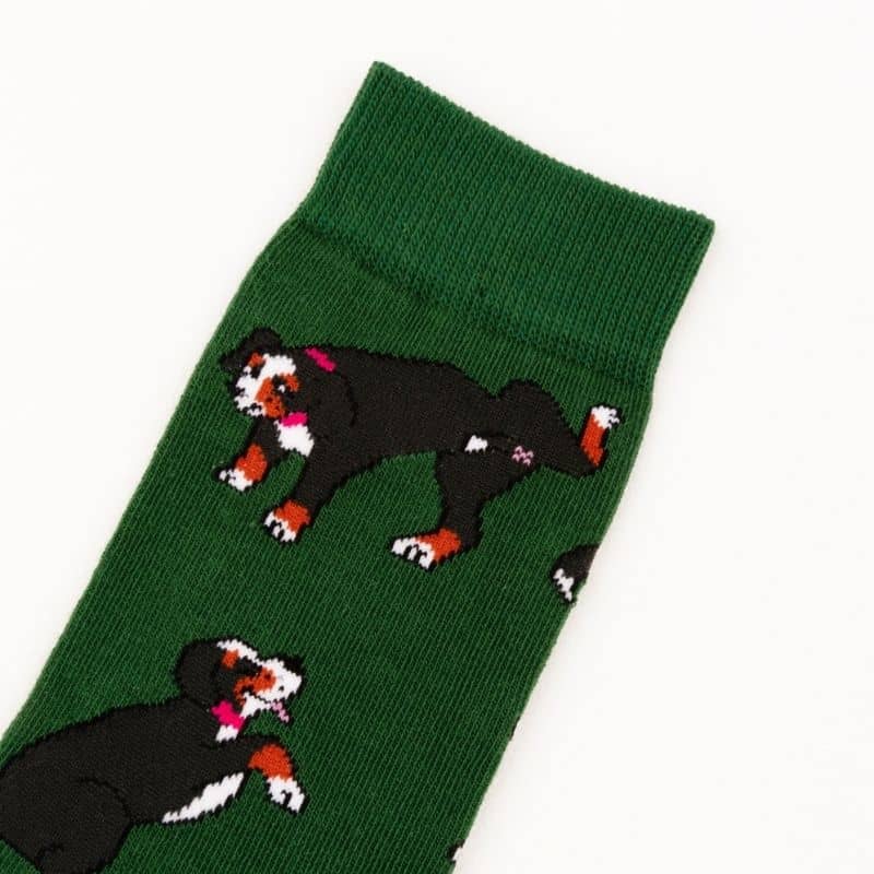 CHAUSSETTES COTON - BOUVIER BERNOIS - Image 4