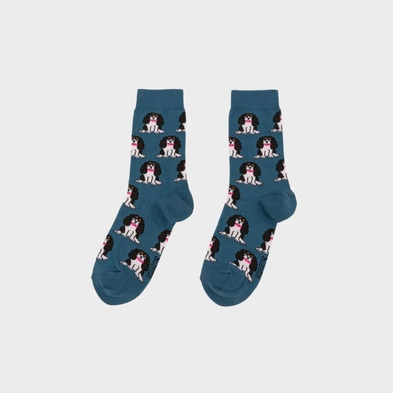 CHAUSSETTES COTON - CAVALIER KING CHARLES