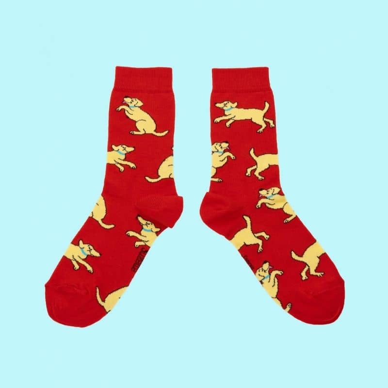 CHAUSSETTES COTON - LABRADOR - Image 3