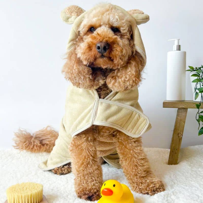 PEIGNOIR TEDDY EN MICROFIBRE POUR CHIEN - BEIGE 🧸 - Image 2