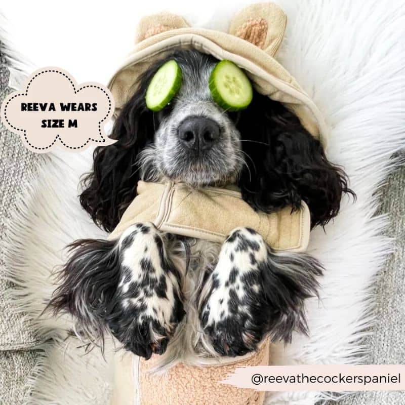 PEIGNOIR TEDDY EN MICROFIBRE POUR CHIEN - BEIGE 🧸 - Image 3